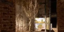 Sostenibilità, Gruppo Saviola: Pannelli Ecologici per Triennale Milano e Biennale Architettura