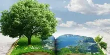 Raccontare le sfide ecologiche, i finalisti del Premio Demetra