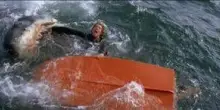 'Lo squalo' di Spielberg compie 50 anni, fu una svolta epocale per il cinema