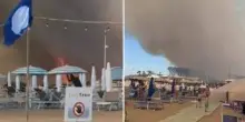 Incendio in pineta, fiamme lambiscono le spiagge di Baia Domizia: bagnanti in fuga - Video