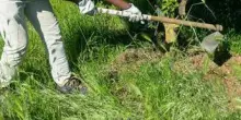 Caldo, Rebuzzi: "Può uccidere, impedire lavoro all'aperto nella morsa dell'afa"