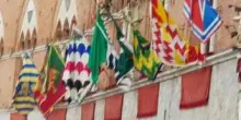 Palio di Siena, la bandiera verde annuncia il rinvio
