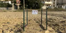 Agrigento, Caretta caretta depone uova in spiaggia