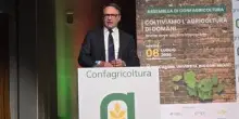 Lollobrigida: "Lavoriamo per evitare scelta folle Europa in agricoltura"