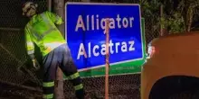 Usa, italiano detenuto a Alligator Alcatraz: "In gabbia come polli, fateci uscire da incubo"