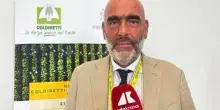 Tabacco, Bellelli (Coldiretti Campania): "Accordi di filiera fondamentali per redditività, ambiente e giovani agricoltori’