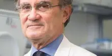 Italiana guarita dopo Lourdes, il neurologo: "Esperienza al limite dell'impossibile"