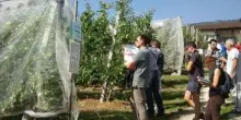 Bonus agricoltori, al via da oggi le domande: a chi spetta e come funziona