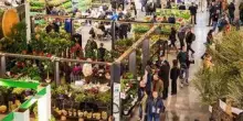 Florovivaismo, Myplant & Garden: record valore delle produzioni italiane