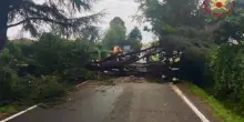 Maltempo al centronord, alberi caduti e allagamenti: oltre 1300 gli interventi dei Vigili del Fuoco