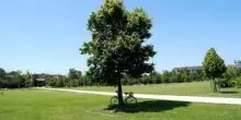 Estate settembrina sull'Italia, dove farà più caldo e quanto durerà