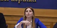 Lavoro, Schifone (Fdi): "Giornata storica per l’Italia delle professioni"