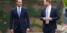 Harry e William divisi da Lady Diana: in arrivo due documentari diversi?