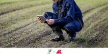Bonus formazione per giovani agricoltori, come fare domanda? Le istruzioni