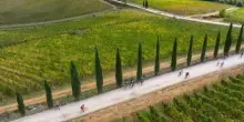 Arriva L'Eroica 2025, tutti i numeri di questa edizione