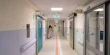 Fungo killer negli ospedali europei, l'alert Ecdc: Italia fra Paesi più colpiti