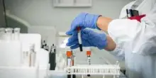Chikungunya, secondo caso a Novellara