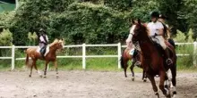 Milano, abusi su allieve minorenni: arrestato istruttore di equitazione