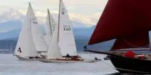 Vela d'epoca, al via dal 26 settembre a Trieste l'Adriatic classic trophy