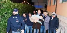 Neonata rapita a Cosenza, si allarga l'inchiesta. Rosa Vespa oggi in tribunale