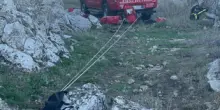 Cane bloccato in scarpata salvato dai Vigili del fuoco