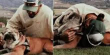 Hamilton, è morto il cane Roscoe: "La decisione più difficile della mia vita"