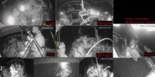 Flotilla, ambasciatore Israele: "Provocazione legata a Hamas, grave presenza di parlamentari italiani"