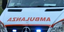 Parma, cade durante lavori di potatura: morto un 64enne