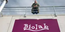 Stop agli 'hamburger di soia' frenerà consumi prodotti veg, la denuncia di Biolab