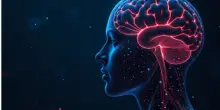 Neurologia, pubblicato il report globale Oms e la strategia italiana per salute cervello