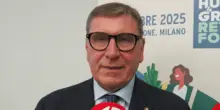 Food, Lusetti (Conad): "Prodotti a marchio contribuiscono a diffusione dieta mediterranea"
