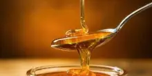 Non solo dolcezza: nel miele di acacia i microRna che 'parlano' al sistema immunitario