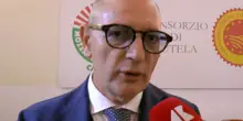 Consorzio mozzarella bufala campana Dop: "Prodotto modello di sviluppo tra tradizione e innovazione"
