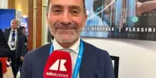 Lavoro, Capaccio su appalti e contratti collettivi: "Principio di equivalenza richiede responsabilità"