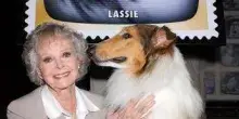 Morta June Lockhart, la mamma star di 'Lassie' aveva 100 anni