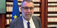 Università, Marini (Tor Vergata): "Impostare mostro futuro su concetto One Health"