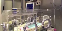 Neomamma scappa dall'ospedale con figlia destinata all'adozione