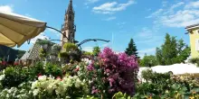 Gli anziani vivono bene a Trento e Bolzano, i bimbi a Lecco