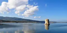 Moscerini a Orbetello, altra disinfestazione straordinaria