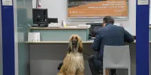 Abi, le operazioni bancarie sono sempre più digitali