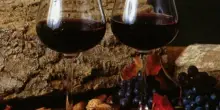 Uiv, per le imprese del vino i dazi al 10% avranno un impatto alto