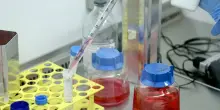 Premiati in Usa 17 ricercatori italiani per studi sui tumori