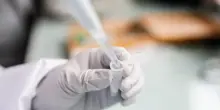Due casi accertati di West Nile a Latina, sono i primi nel Lazio