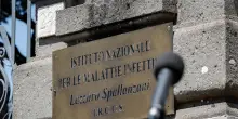Seconda vittima west Nile nel Lazio, allo Spallanzani
