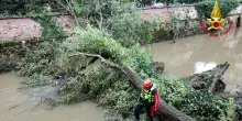 Maltempo: danni ingenti nel Vicentino per frane e grandine