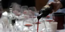 Sos dazi per il Brunello, a rischio 3 milioni di bottiglie