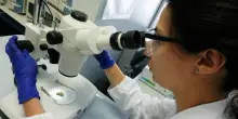 Fondazione Candiolo, 20 milioni in ricerca e cura del cancro