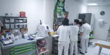 Bimba di un anno e mezzo positiva alla cocaina, a Torino