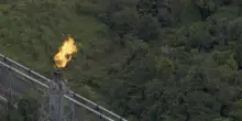 Amazzonia, Petrobras ottiene licenza ambientale per trivellare