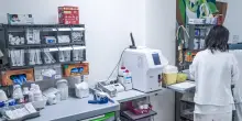 Uil denuncia,'due infermiere aggredite all'ospedale di Latisana'